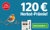 Ein Rotkehlchen auf einem Ast neben einem Abo-Angebot mit 120 Euro Herbst-Prämie für 12 Monate gedruckt und digital lesen.